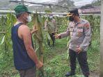 lahan-pertanian-warga-di-desa-touliang-kecamatan-kakas.jpg