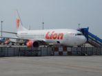 lion-air-2143343.jpg