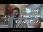 lirik-dan-terjemahan-lagu-calum-scott-you-are-the-reason.jpg