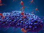 mengenal-apa-itu-coronavirus-mulai-dari-gejala-hingga-resiko.jpg