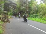 minahasa_20180114_141614.jpg