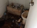 mitra_20180129_104720.jpg