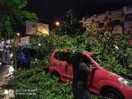 nampak-kendaraan-roda-empat-tertimpa-pohon-di-kawasan-mega-mas-manado-senin-2122019.jpg
