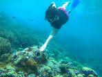 nikmati-keindahan-warna-warni-karang-dan-berbagai-jenis-ikan-bawah-laut-di-batu-angus-4.jpg