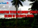 nyiur-melambai-terancam-hilang-petani-kopra-makin-menjerit_20170309_104911.jpg