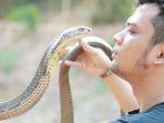 panji-petualang-hampir-tewas-saat-lakukan-percobaan-dengan-ular-python-harus-tahan-napas.jpg