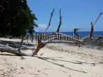 pantai-tanjung-dulang_3_20160410_232148.jpg