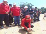 pelepasan-penyu.jpg