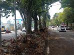 pembuatan-taman-di-pembatas-jalan-jendral-ahmad-yani-sario-utara-tepatnya-di-lapangan-konihh.jpg