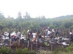 penanaman-mangrove.jpg