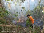 penanganan-kebakaran-hutan-di-bitung.jpg