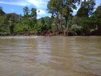 pencarian-orang-hanyut-di-sungai-sangkub.jpg