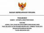 pengumuman-lokasi-dan-jadwal-skb-cpns-2019-bkn-24624.jpg