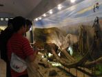 pengunjung-museum-manusia-purba-sangiran-melihat-fosil-gajah-purba-kamis-1112018_20181102_082739.jpg