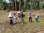 petani-dan-babinsa-gunakan-sistem-tabela-saat-menanam-padi.jpg