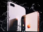 phil-schiller_20170913_122606.jpg