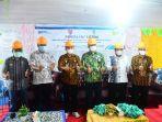pln-berhasil-mengalirkan-listrik-untuk-6-desa-di-kabupaten-banggai-laut.jpg