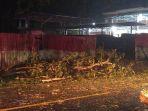 pohon-tumbang-di-desa-suwaan-kecamatan-kalawat0-90.jpg