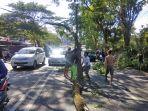pohon-yang-tumbang-dan-menutupi-jalan-aa-maramis-dekat-giant-kairagi.jpg
