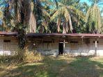 pondok-di-kampung-perkebunan-alurjambu-di-kecamatan-bandarpusaka.jpg