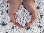 popcorn-beach-13212.jpg