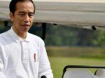 presiden-joko-widodo-jokowi-di-istana-kepresidenan-bogor.jpg
