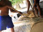 proses-penggalian-emas-di-wpr-tatelu-yang-dilakukan-secara-manual-ghgfh.jpg
