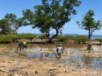 pt-bhineka-mancawisata-menanam-ribuan-mangrove-3.jpg