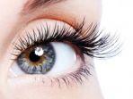 pupil-mata-11.jpg