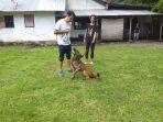 sar-dog-sulawesi-utara-sulut-menggelar-latihan.jpg