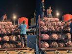 sebanyak-832-ekor-babi-potong-akan-tiba-di-Sulut-pada-Jumat-982024.jpg
