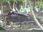 seorang-ibu-tidur-di-atas-makam-anaknya.jpg