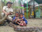 steve-ewon-bersama-kedua-anaknya-tengah-bermain-dengan-ular-jenis-python-reticulatus.jpg