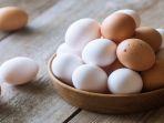 telur-eggs.jpg