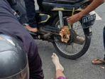 tragedi-seorang-perempuan-setengah-baya-diduga-jatuh-dari-motor.jpg