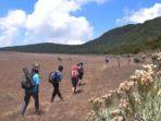 trekking-di-lembah-suryakencana-gunung-gede-pangrango.jpg