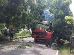 truk-kontainer-tabrak-pohon-perindang.jpg