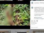 video-batang-kayu-yang-dipahat-mirip-alat-kelamin-pria.jpg