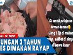 viral-3-tahun-simpan-duit-dibawah-kasur-ludes-dimakan-rayap-dfg.jpg