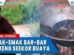 viral-emak-emak-bar-bar-goreng-seekor-buaya-dsfgfg.jpg