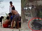 viral-kisah-pilu-canon-anjing-di-aceh-singkil-yang-ditangkap-satpol-pp-mati-karna-kehabisan-nafas.jpg
