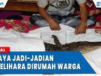 viral-video-buaya-jadi-jadian-dipelihara-di-rumah.jpg