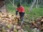warga-saat-mengupas-buah-kelapa.jpg