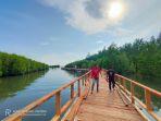 wisata-tracking-mangrove-di-desa-tabilaa-2.jpg