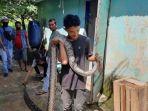 yusuf-warga-batanghari-yang-nekat-gigit-buntut-ular-piton-4-meter-supaya-kucing-yang-dililit-lepas.jpg