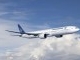 garuda.jpg