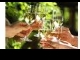 wine.jpg