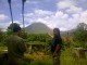 Tomohon-20120212-00170(1).jpg
