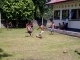 IMG-20120416-00184.jpg