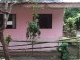 IMG00747-20120924-1246.jpg